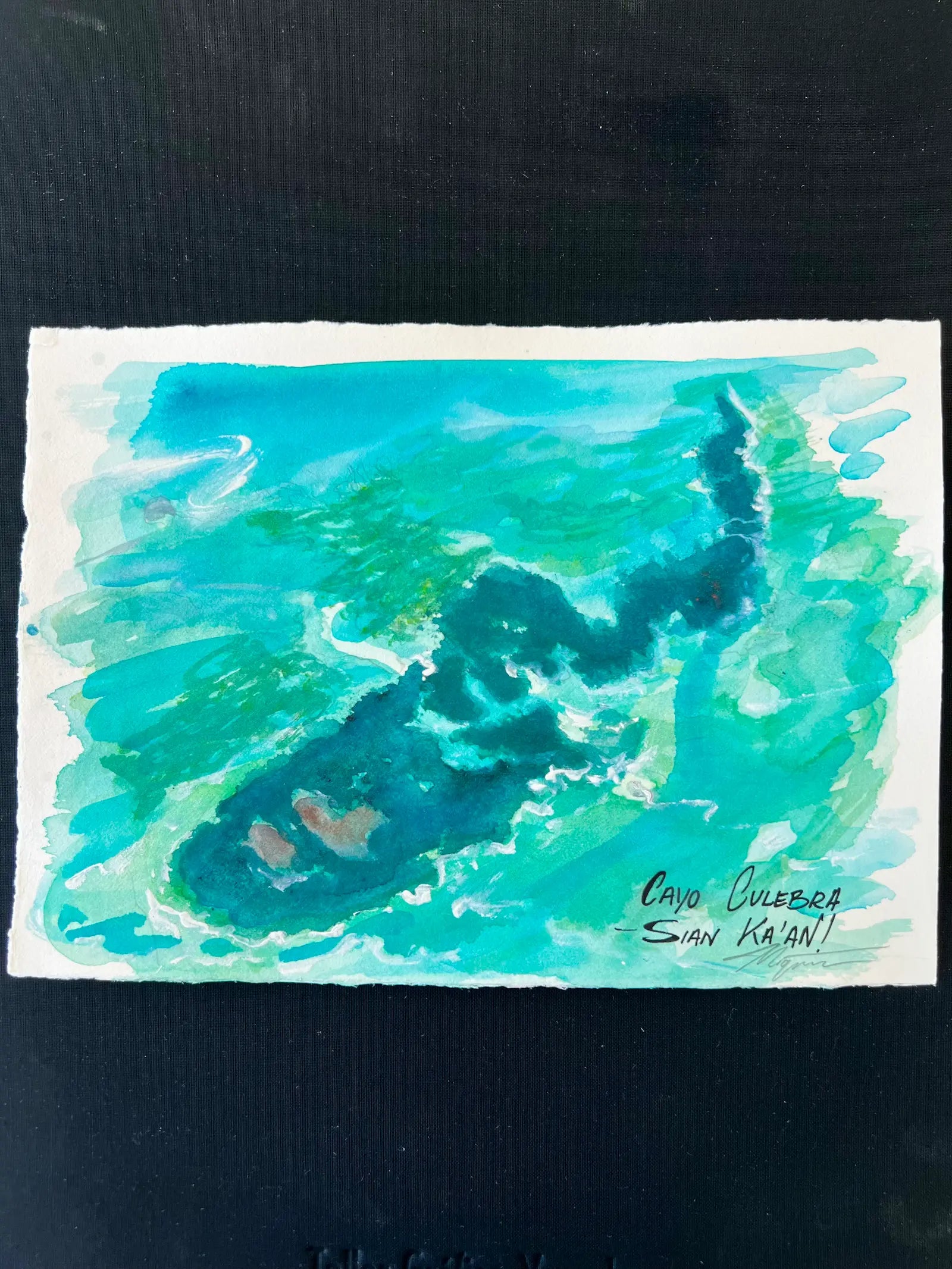 Cayó Culebra – Acuarela original.