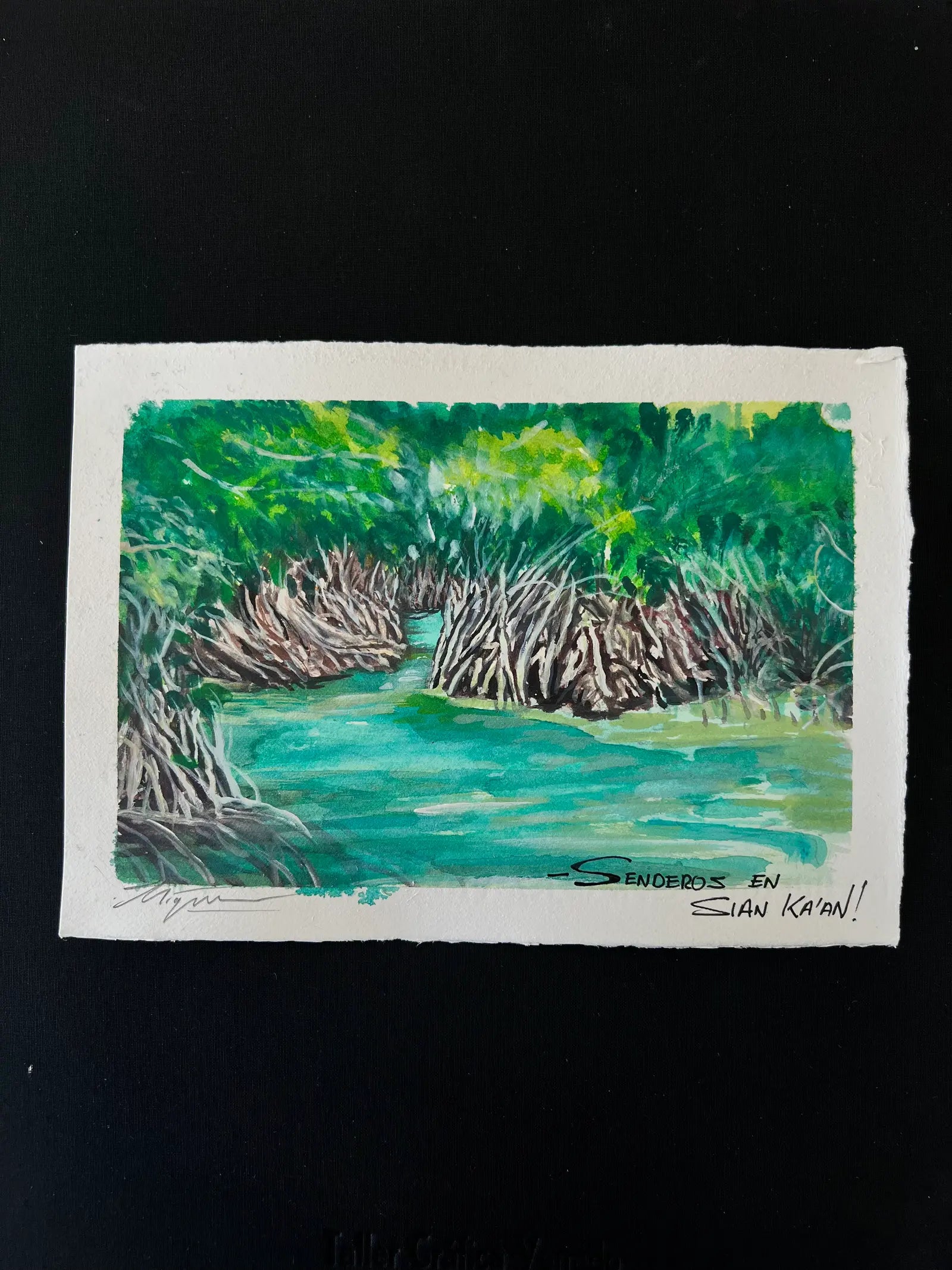 Senderos en Sian Ka’an – Acuarela original sobre papel de algodón